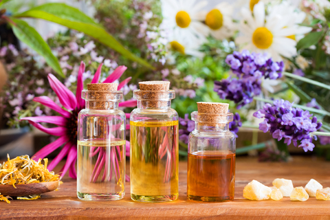 bottles of essential oils surrounded by a variety of flowers and herbs