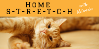 Home Stretch with Networks - image of cat stretching