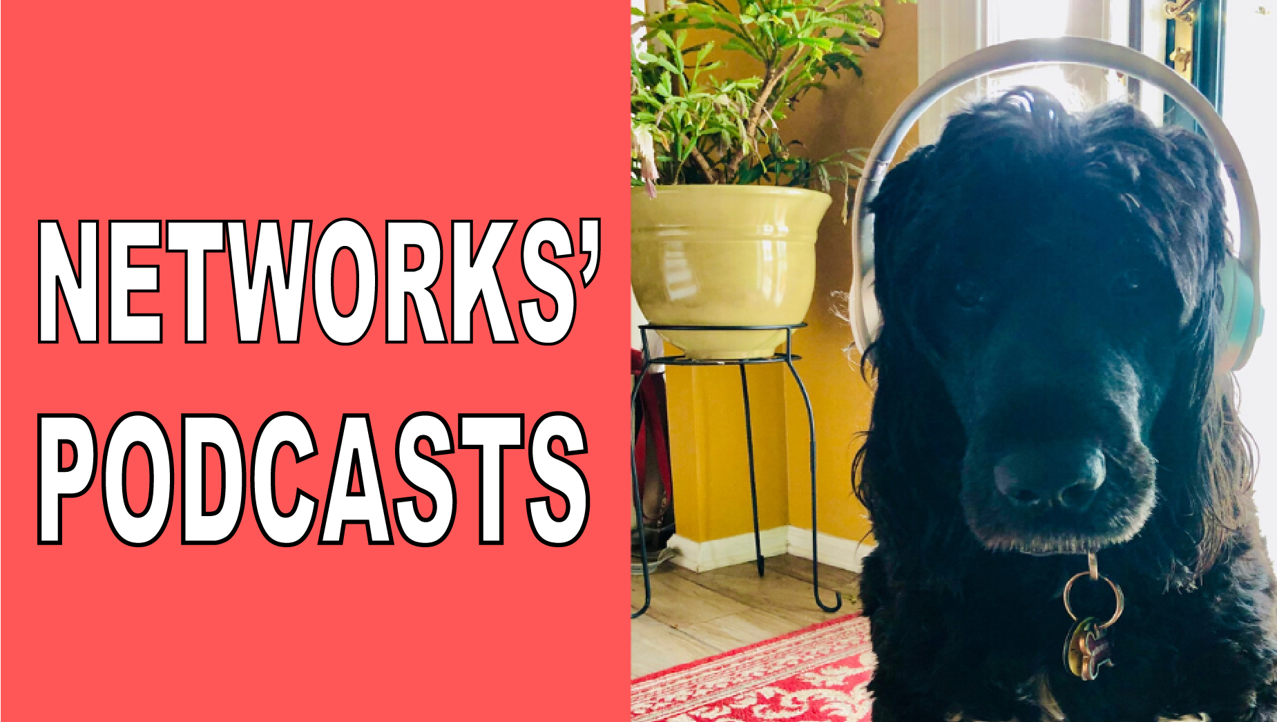 Networks' Podcasts